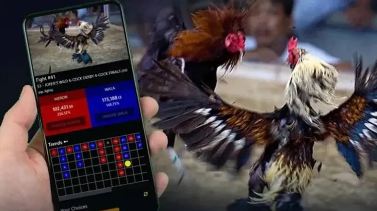 Đá Gà Fastgame888 Đấu Trường Đỉnh Cao Cho Kê Thủ