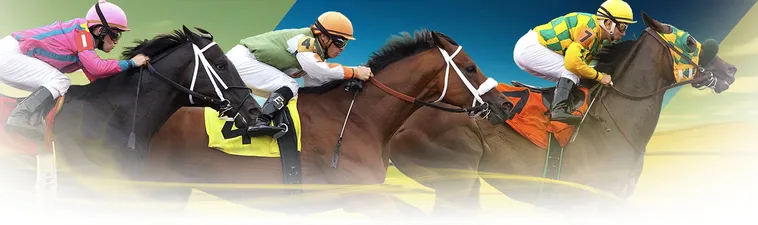 Chinh Phục Đấu Trường Đua Ngựa Fastgame888 Với Bí Kíp Thắng Lớn